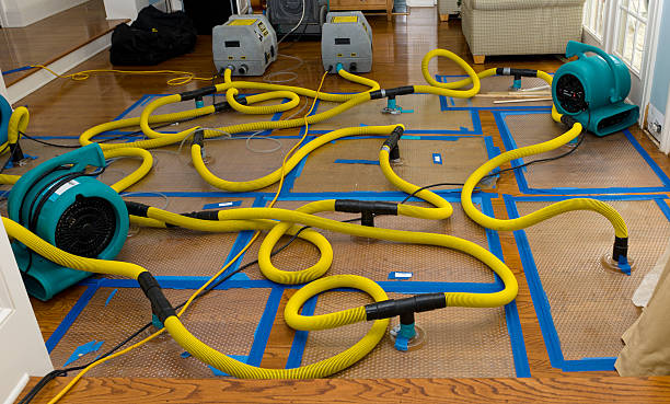Professional Crawl Space Water Removal technician working in Riverside, MD